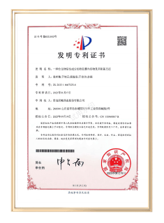 Research patent certificate 17
