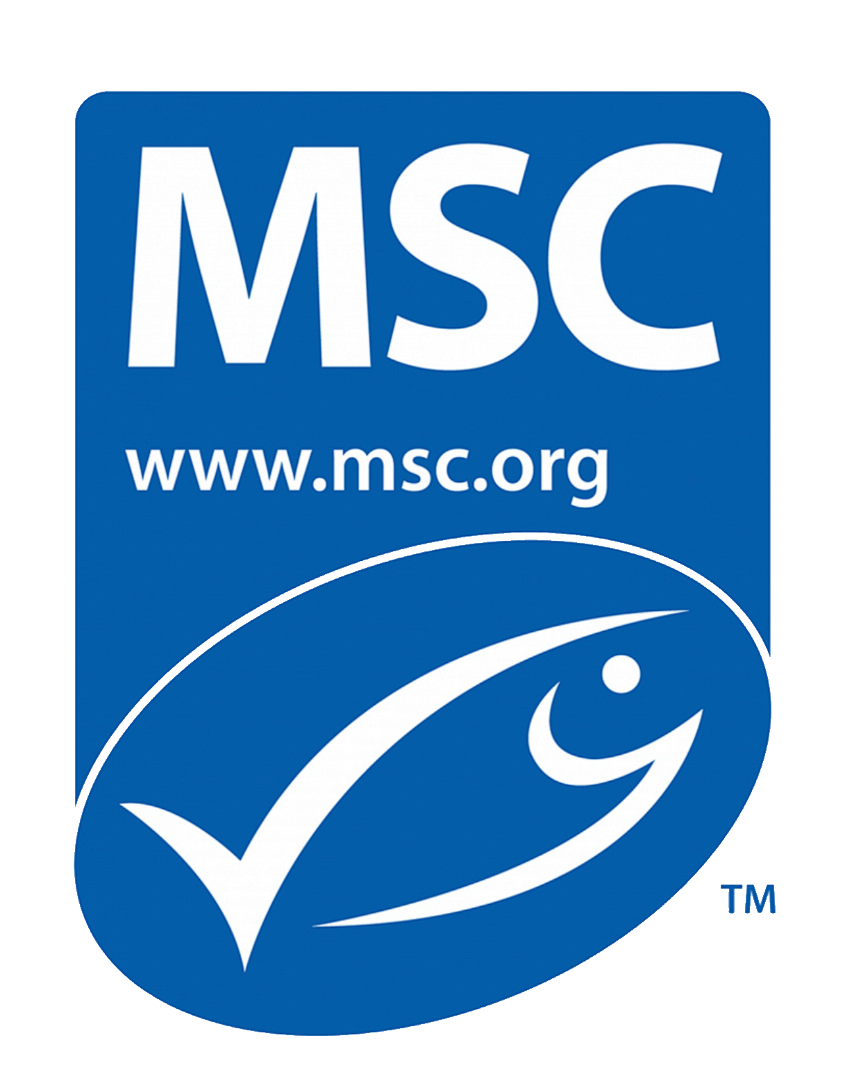 MSC certificate icon